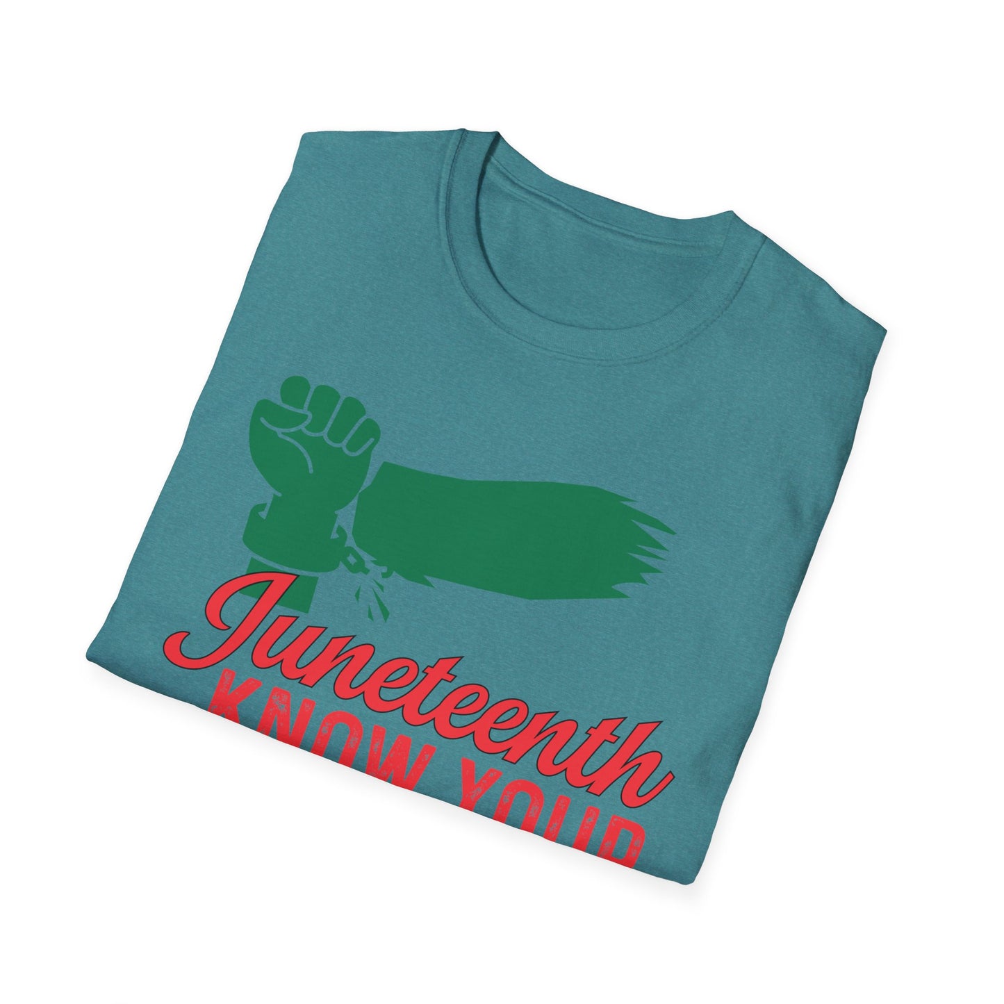 Unisex Softstyle T-Shirt - Juneteenth Know Your History, Comfortable Tee, Black History Month Gift, Celebration Shirt, Family Reunion Attire