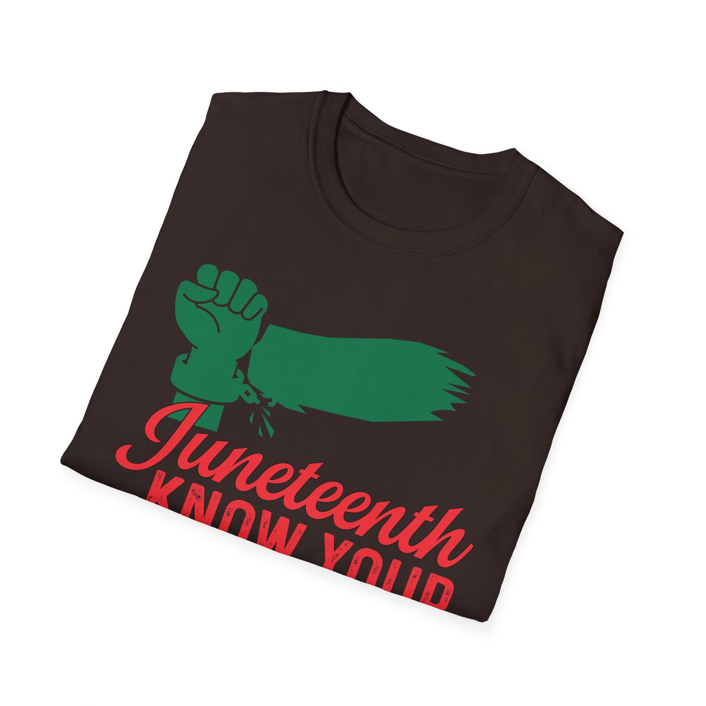 Unisex Softstyle T-Shirt - Juneteenth Know Your History, Comfortable Tee, Black History Month Gift, Celebration Shirt, Family Reunion Attire