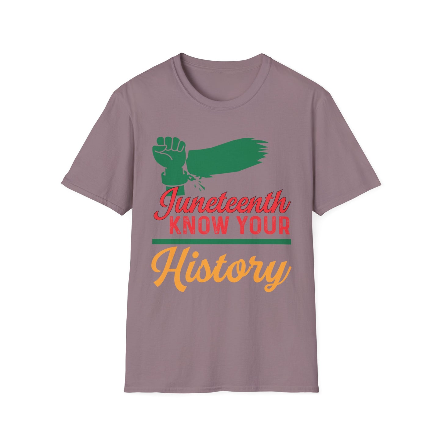 Unisex Softstyle T-Shirt - Juneteenth Know Your History, Comfortable Tee, Black History Month Gift, Celebration Shirt, Family Reunion Attire