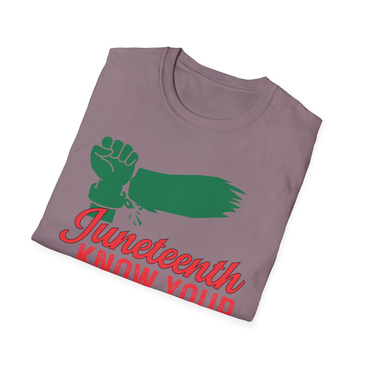 Unisex Softstyle T-Shirt - Juneteenth Know Your History, Comfortable Tee, Black History Month Gift, Celebration Shirt, Family Reunion Attire