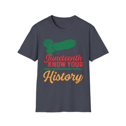 Unisex Softstyle T-Shirt - Juneteenth Know Your History, Comfortable Tee, Black History Month Gift, Celebration Shirt, Family Reunion Attire
