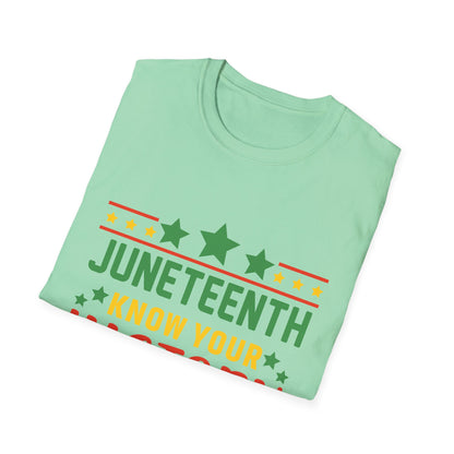 Juneteenth History T-Shirt, Unisex Softstyle Tee, Celebrate Freedom, Know Your History, Black History Month, Gift for Activists