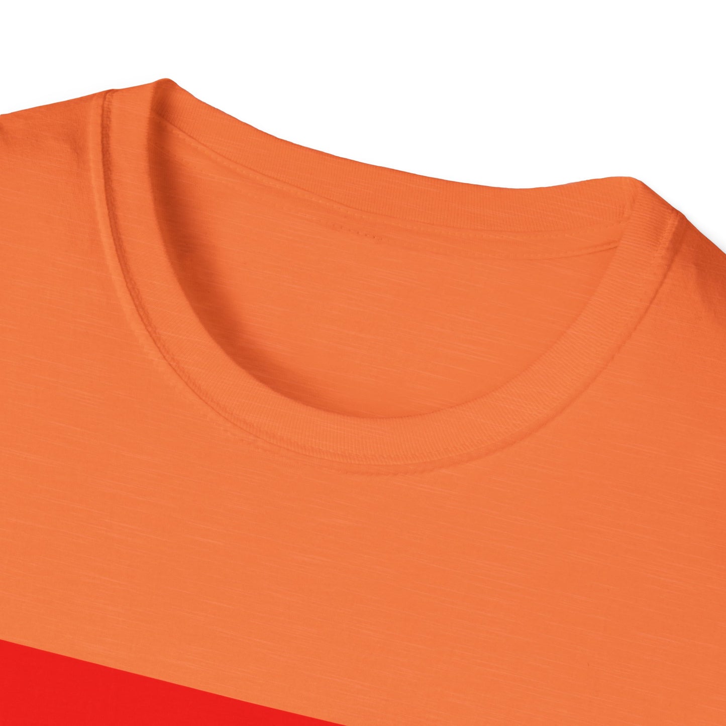 Pride Arkansas T-Shirt, Unisex Rainbow Tee, LGBTQ+ Apparel, Softstyle T-Shirt, Equality Shirt, Gift for Pride Month