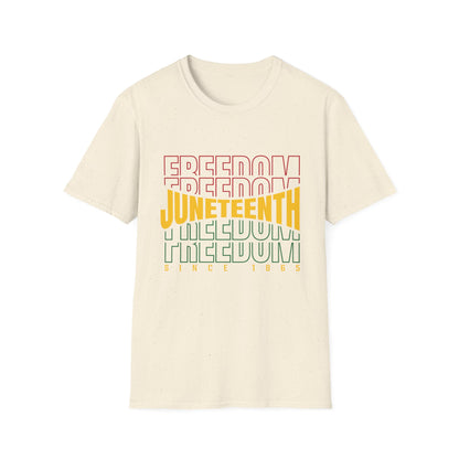 Juneteenth Freedom T-Shirt, Unisex Softstyle Tee, Celebrate Freedom, African American History, Independence Day Shirt, Gift for Activists