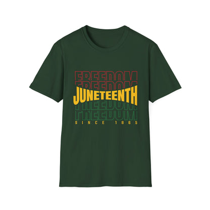 Juneteenth Freedom T-Shirt, Unisex Softstyle Tee, Celebrate Freedom, African American History, Independence Day Shirt, Gift for Activists