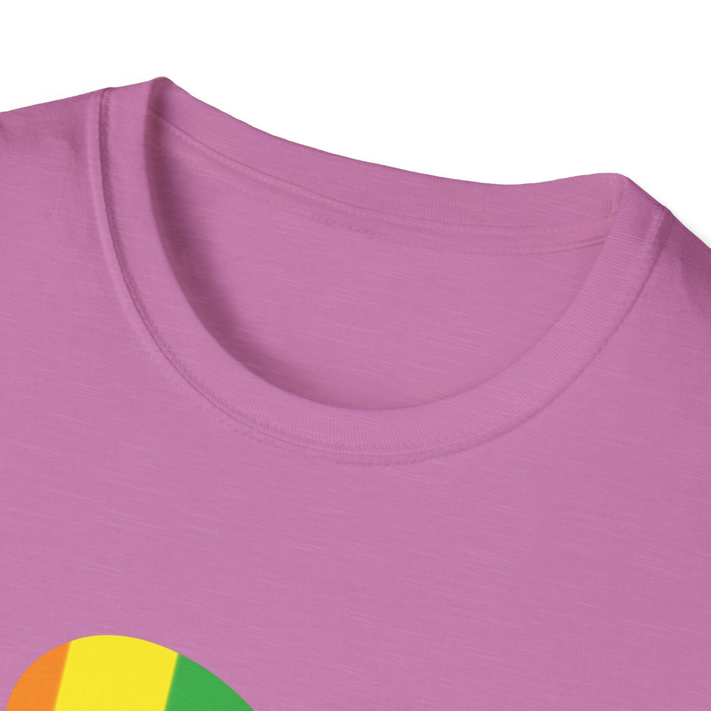 Pride Ally T-Shirt, Unisex Tee for LGBTQ+ Support, Softstyle Shirt for Everyday Wear, Gift for Allies