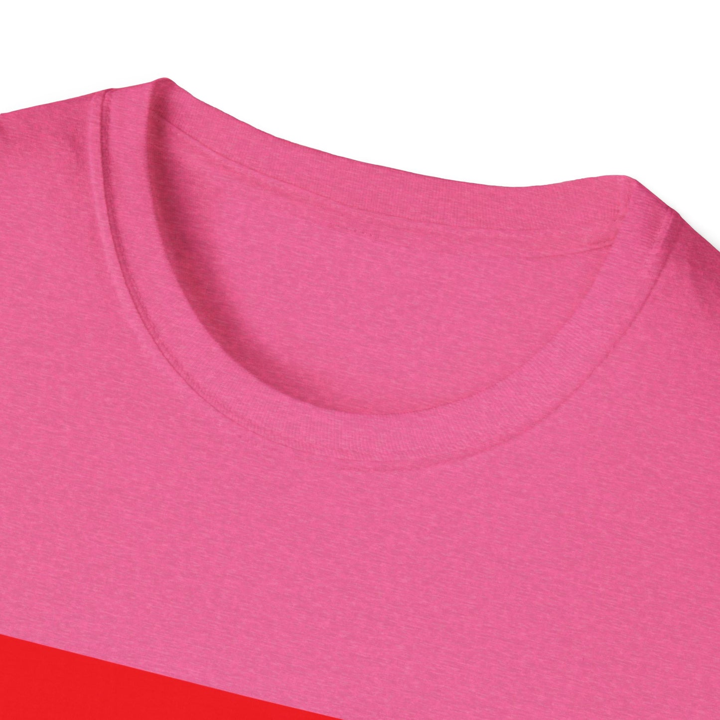 Pride Arkansas T-Shirt, Unisex Rainbow Tee, LGBTQ+ Apparel, Softstyle T-Shirt, Equality Shirt, Gift for Pride Month