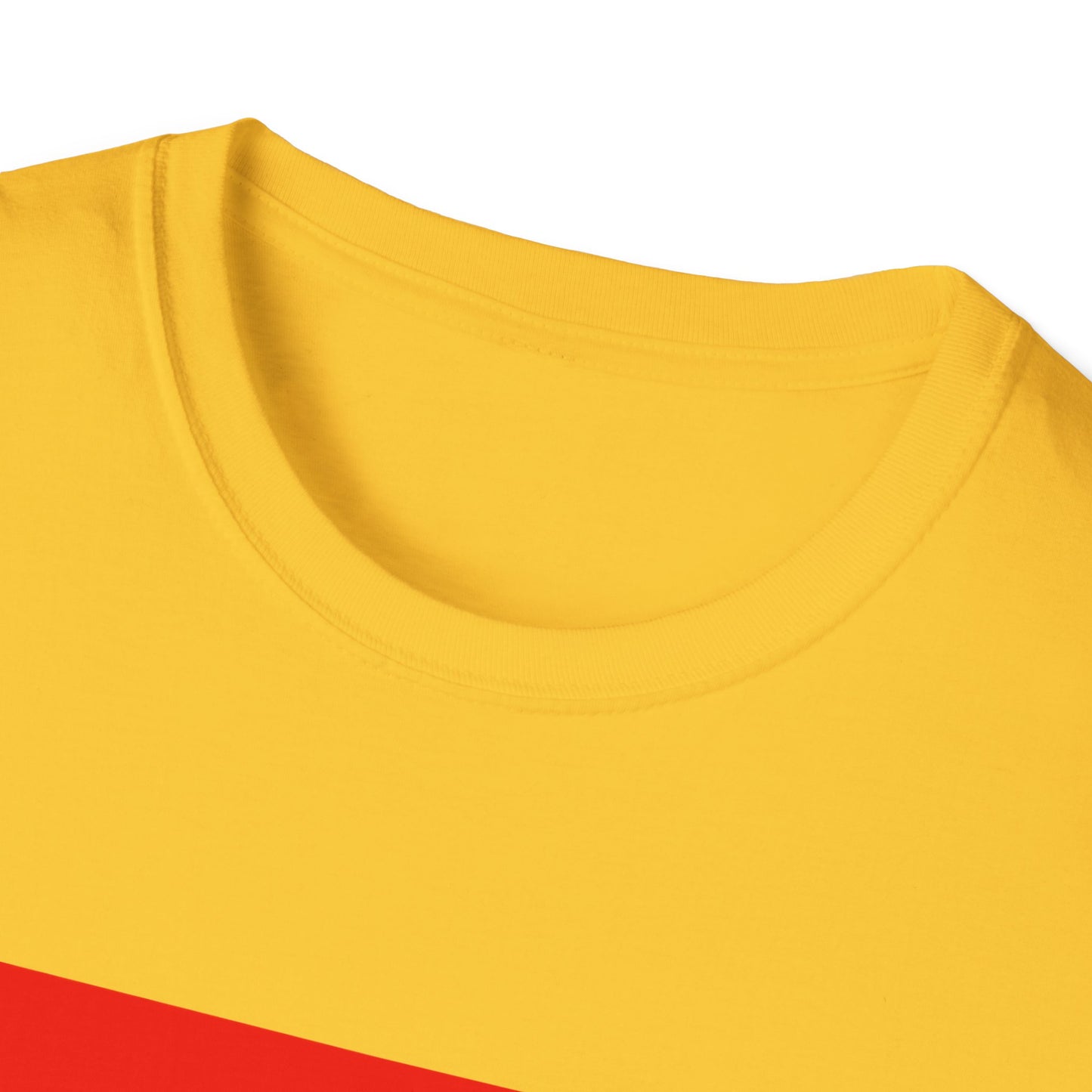 Pride Arkansas T-Shirt, Unisex Rainbow Tee, LGBTQ+ Apparel, Softstyle T-Shirt, Equality Shirt, Gift for Pride Month