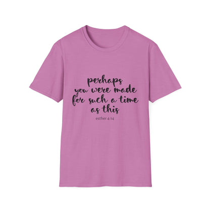 Inspirational Quote T-Shirt: 'Perhaps You Were Made For Such A Time As This'