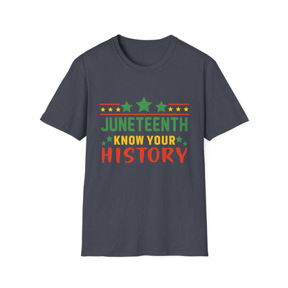 Juneteenth History T-Shirt, Unisex Softstyle Tee, Celebrate Freedom, Know Your History, Black History Month, Gift for Activists