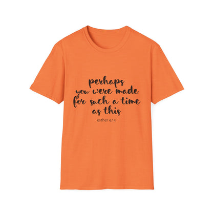 Inspirational Quote T-Shirt: 'Perhaps You Were Made For Such A Time As This'