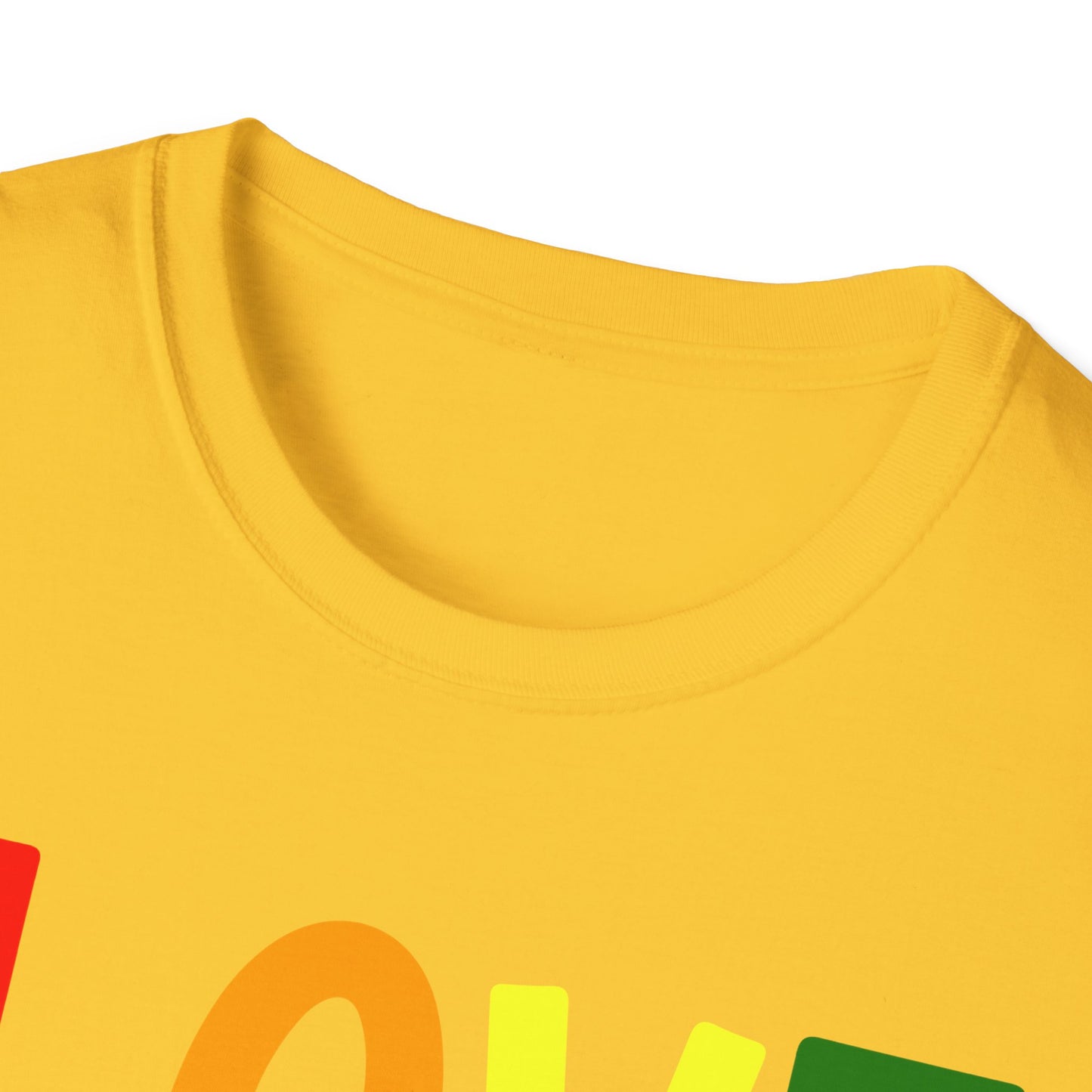 Love Has No Gender Unisex T-Shirt, LGBTQ+ Pride Tee, Comfort Fit Shirt, Gift for Allies, Inclusivity Apparel, Birthday Celebration Top