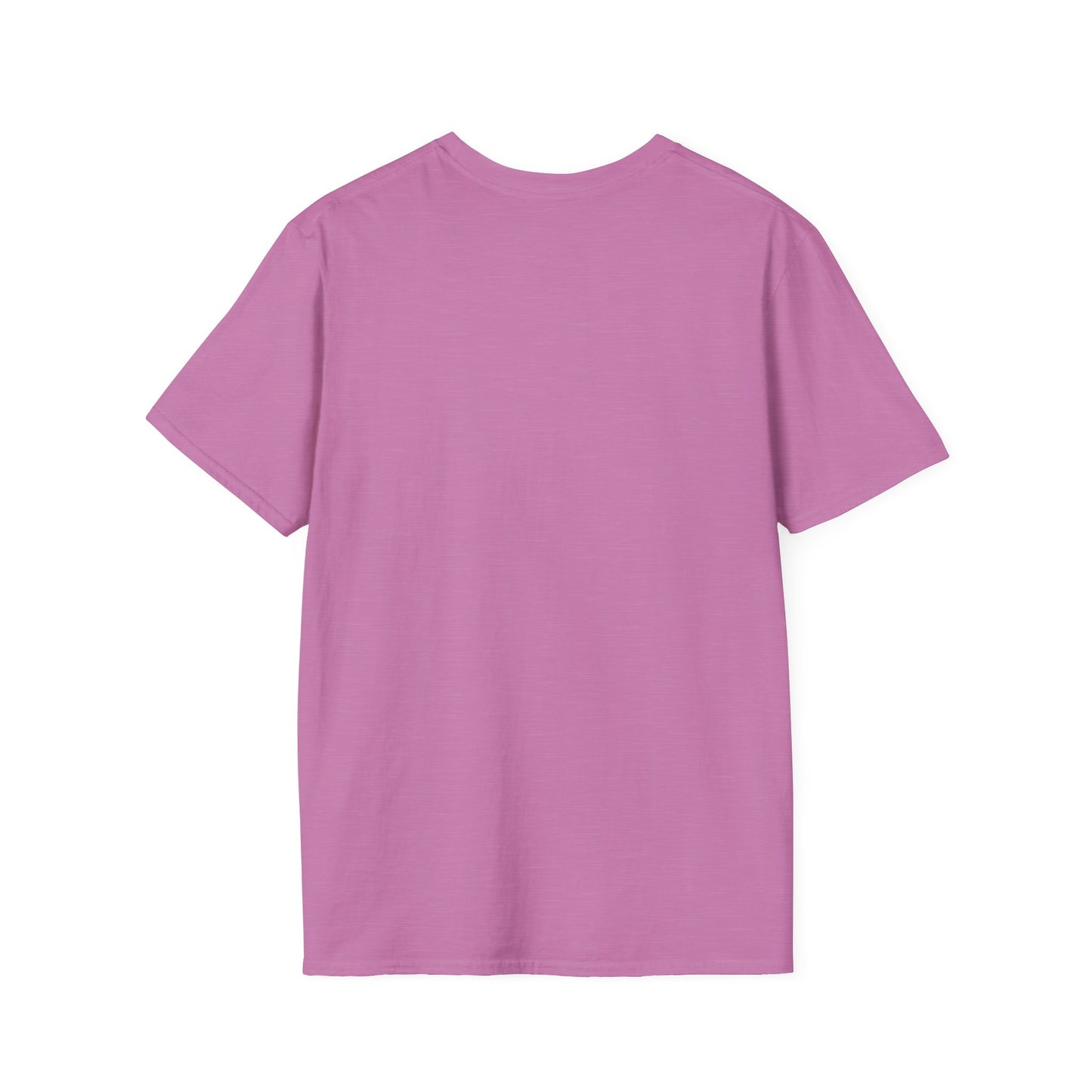 Unisex Softstyle T-Shirt - "Chaos Coordinator" Fun Tee