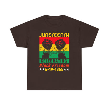 Juneteenth Celebration Tee, Unisex Cotton Shirt, Black Freedom T-Shirt, 6-19-1865 Heritage Top, Summer Festival Apparel, History Shirt