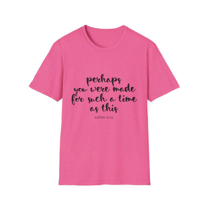 Inspirational Quote T-Shirt: 'Perhaps You Were Made For Such A Time As This'