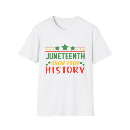 Juneteenth History T-Shirt, Unisex Softstyle Tee, Celebrate Freedom, Know Your History, Black History Month, Gift for Activists