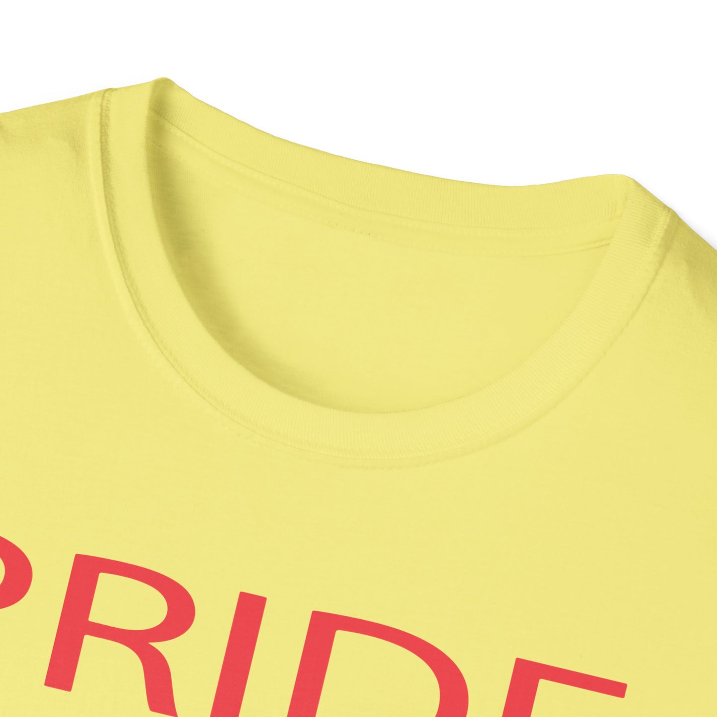 Pride Celebration Unisex T-Shirt | LGBTQ+ Pride Tee, Rainbow Pride Shirt, Equality Apparel, Gift for Pride Month