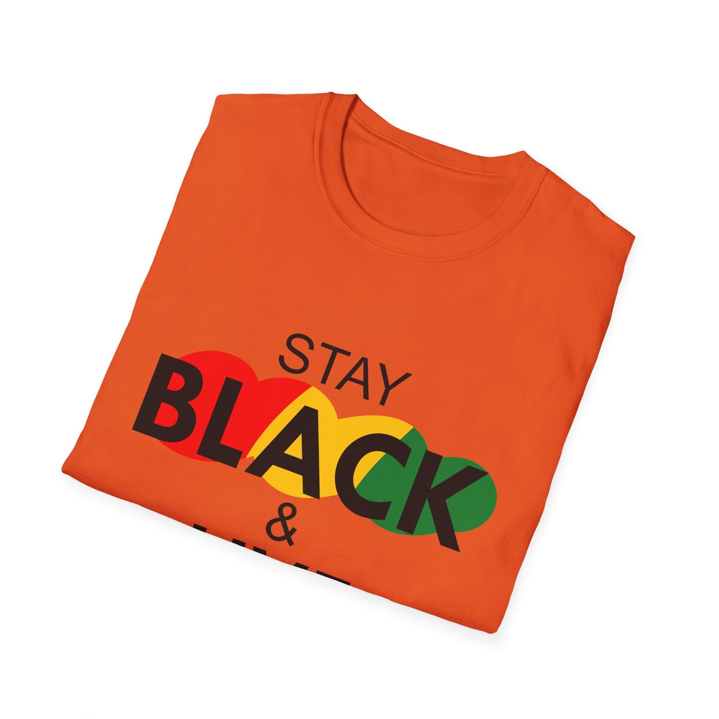 Unisex Softstyle T-Shirt: Stay Black & Live Tee for Activism, Streetwear, Casual Wear, Gifts for Culture Lovers, Statement Shirt