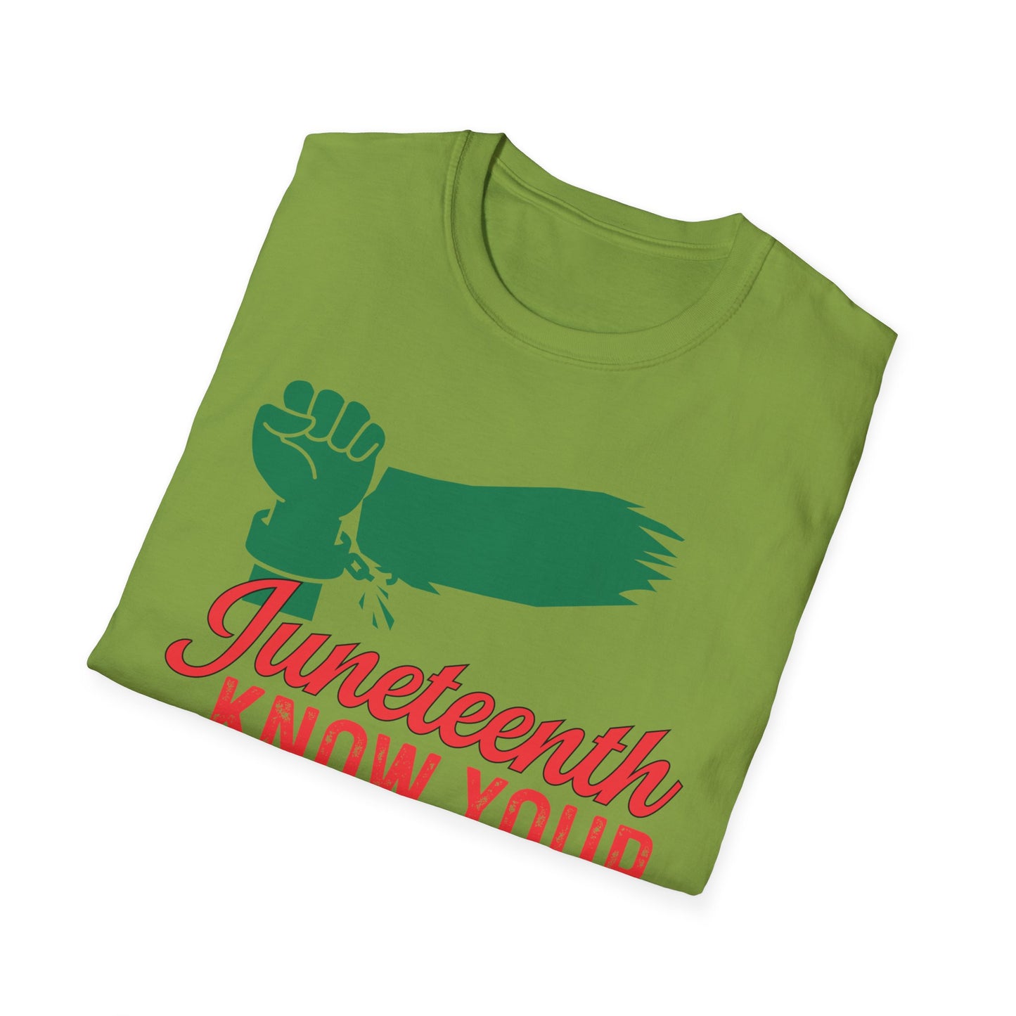 Unisex Softstyle T-Shirt - Juneteenth Know Your History, Comfortable Tee, Black History Month Gift, Celebration Shirt, Family Reunion Attire