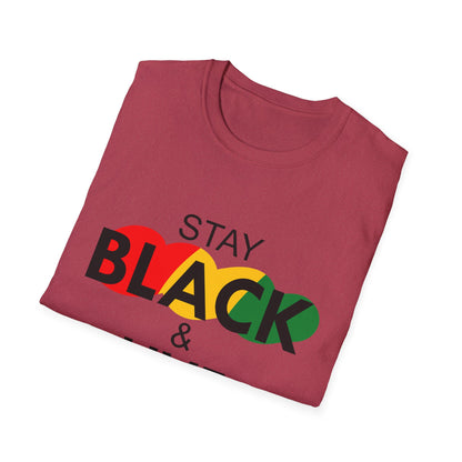 Unisex Softstyle T-Shirt: Stay Black & Live Tee for Activism, Streetwear, Casual Wear, Gifts for Culture Lovers, Statement Shirt