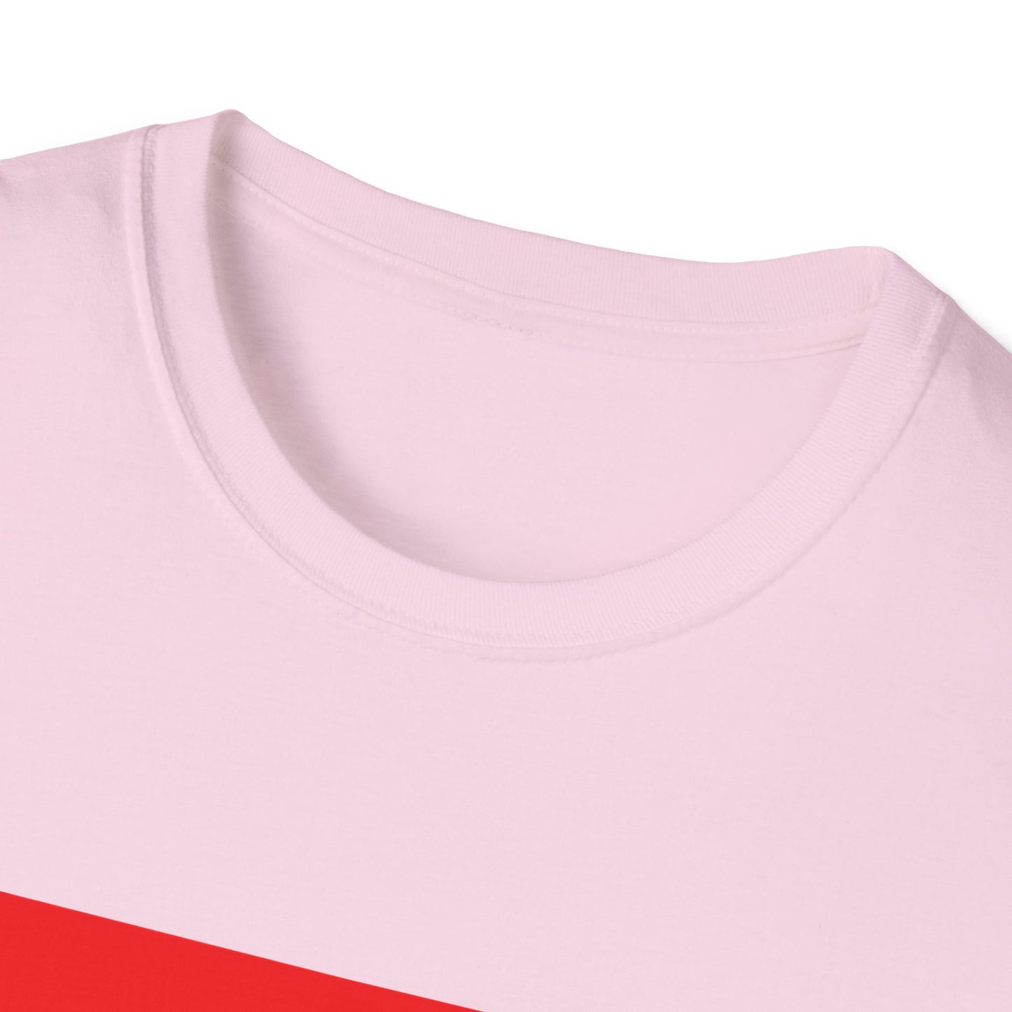 Pride Arkansas T-Shirt, Unisex Rainbow Tee, LGBTQ+ Apparel, Softstyle T-Shirt, Equality Shirt, Gift for Pride Month