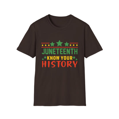 Juneteenth History T-Shirt, Unisex Softstyle Tee, Celebrate Freedom, Know Your History, Black History Month, Gift for Activists