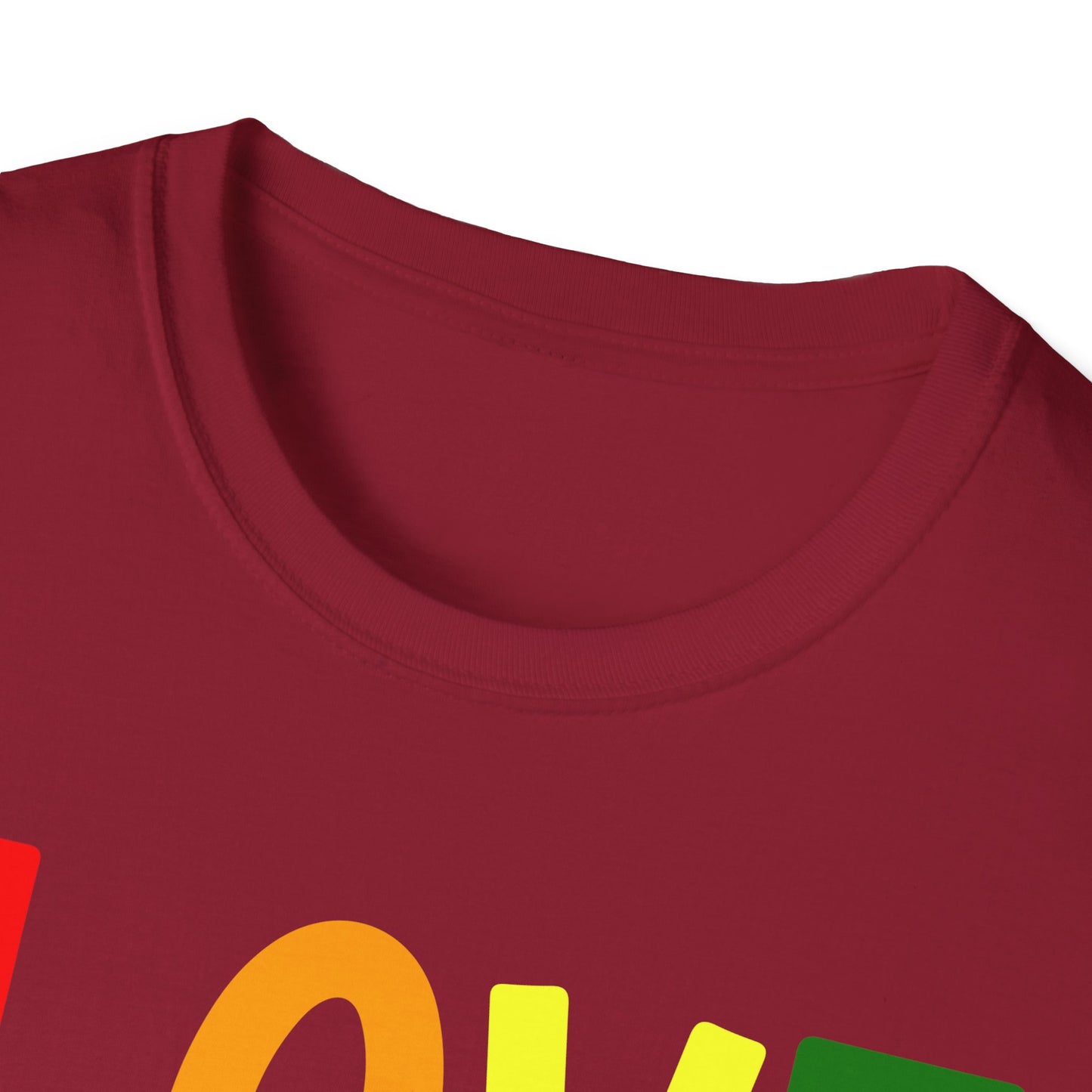 Love Has No Gender Unisex T-Shirt, LGBTQ+ Pride Tee, Comfort Fit Shirt, Gift for Allies, Inclusivity Apparel, Birthday Celebration Top