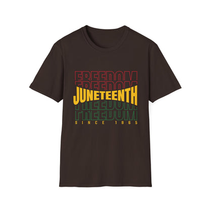 Juneteenth Freedom T-Shirt, Unisex Softstyle Tee, Celebrate Freedom, African American History, Independence Day Shirt, Gift for Activists