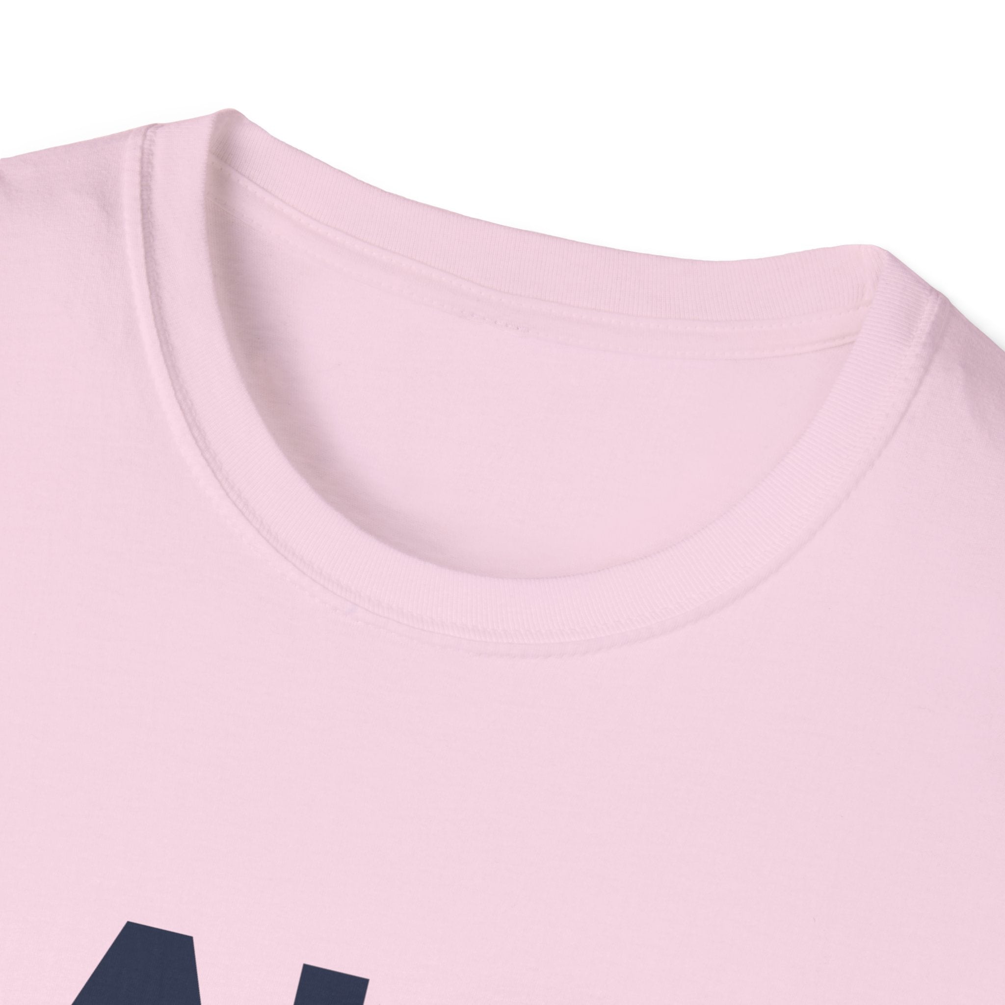 All You Need Is Cat Unisex Softstyle T-Shirt | Cute Cat Lover Tee, Gift for Pet Owners, Funny Cat T-Shirt, Cat-Themed Apparel, Birthday Gift