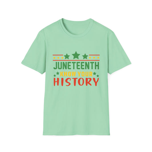 Juneteenth History T-Shirt, Unisex Softstyle Tee, Celebrate Freedom, Know Your History, Black History Month, Gift for Activists