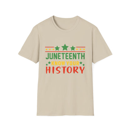 Juneteenth History T-Shirt, Unisex Softstyle Tee, Celebrate Freedom, Know Your History, Black History Month, Gift for Activists